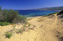 Coastline of Cyprus.