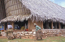 Old woman walking in front of a typical house wearing the traditional grass skirt for a local festival, Yap, Micronesia.