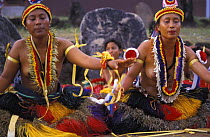 Traditional dancers in costume, Yap, Micronesia. The traditional dances and songs on Yap tell stories with complex movements.