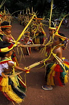 Traditional dancers in costume, Yap, Micronesia. The traditional dances and songs on Yap tell stories with complex movements.