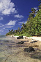 Beach close to Colonia on Yap Proper, Micronesia