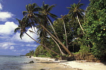 Beach close to Colonia on Yap Proper, Micronesia.