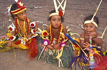 Young Yapese dancers in traditional costume. The children are taught the movements and songs from a very early age, Yap, Micronesia
