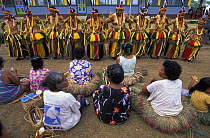 Yapese dancers in traditional dress. The dances and songs on Yap are story telling with complex moves, Yap, Micronesia