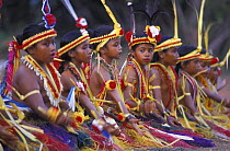 Young dancers in traditional dress, Yap, Micronesia. The children are taught the movements and songs from very early age in school, Yap, Micronesia