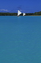 Pirogues sailing in Baie d'Upi, Ile de Pins, New Caledonia, Melanesia, South Pacific