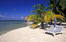 Sun loungers and palm trees on a white sandy beach, Lighthouse Reef Resort, the only resort on the Lighthouse Reef Atoll, Belize