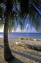 Canoes on the white sandy beach at the Lighthouse Reef Resort, Lighthouse Reef Atoll, Belize