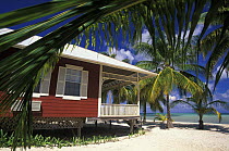 A bungalow situated on the beach, Lighthouse Reef Resort, Belize