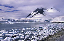 The natural harbour of Port Lockroy, Antarctic Peninsula