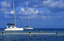 Brown pelicans (Pelecanus occidentalis) and two Moorings catamarans at anchor in the Sapodilla Cays, Belize.
