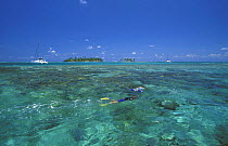 People snorkelling over a coral reef with a catarmaran moored in the distance, Sapodilla Cays, Belize.