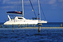 Brown pelican (Pelecanus occidentalis) on a post with two Moorings catamarans at anchor in the Sapodilla Cays, Belize.
