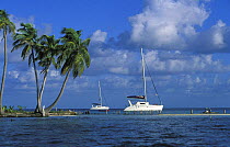 Cruising catamarans anchored off a beach, Belize.