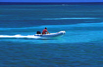 A tender with outboard engine speeding across the turquoise sea.