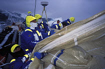 Crew on "EF Language" wear full heavy weather clothing while racing during the Whitbread Round the World Race, 1997-98.