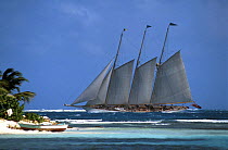 65 metre schooner "Adix" cruises past a small beach in the Grenadines, Caribbean.