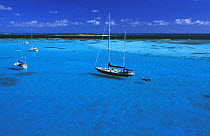 Swan ketch lies at anchor inside the horseshoe reef in Tobago Cays, Caribbean.