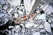 Steel yacht "Pelagic" motors carefully through ice on the Antarctic Peninsula. ^^^ Owned by Skip Novak