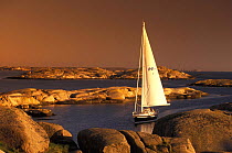 Najad 490 cruises the Swedish Archipelago at sunset.