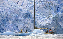 Pelagic manoeuvres through the glacier ice in Antarctica.