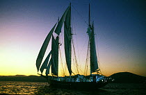Blue Clipper sailing into the sunset at La Nioulargue, 1991.