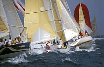 Fifty footers rounding the windward mark at a Miami regatta.