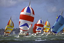 Sigma 33 fleet race downwind in breezy conditions on the Solent.