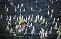 Fleet druing Round Texel race, 1998. It is the world's largest cat race with nearly 600 boats competing to sail fastest around the Dutch island of Texel in the North Sea.