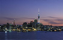 Night time in Auckland, New Zealand.