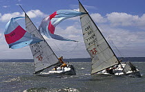 Two Hunter 707 keelboats lose control of their spinnakers in breezy conditions on the Solent.