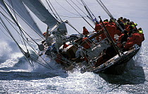 J-Class "Endeavour" beats upwind at Antigua Classic Yacht Regatta, 2001.
