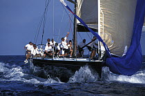 Teamwork for a spinnaker hoist aboard the 78ft Maxi "Sagamore" at Antigua Race Week, 1997.
