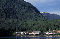 Fishing town on shore near Ford's Terror, Tongass National Forest, south-east Alaska.