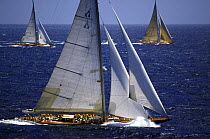 Left: "Shamrock V", Middle: "Endeavour", Right: "Velsheda", Antigua Classics, 1999. ^^^  An exciting year in yachting history, Antigua Classics 1999 saw the three J-Class yachts competing together f...