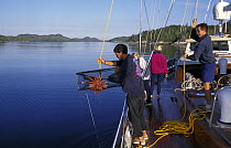 Crew of the 118 foot S&S designed superyacht, "Timoneer" raise the fishing cage, south east Alaska.