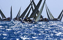 Farr 40 fleet race upwind at Key West Race Week, 2001.