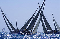 Farr 40 fleet race upwind at Key West Race Week, 2001.