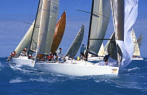 Farr 40 "Appreciation Conspiracy" hoists the spinnaker after rounding the windward mark, Key West, 2000.