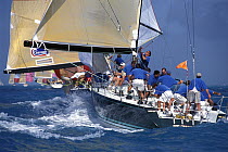 Infinity as they chase the fleet downwind at Key West Race Week, 1997.
