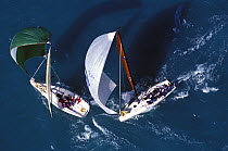 Racing downwind at Key West, 2000.