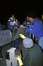 Repair work for "Team EF Language" after the mast snaps just above the first set of spreaders during Leg 5 from New Zealand to São Sebastião in the Whitbread Round the World Race, 1997-98.  ^^^ Re...