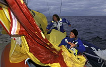 Spinnaker drop on "Team EF", Whitbread Round the World Race, 1997-1998