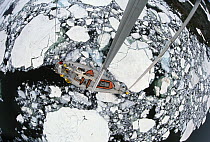 Skip Novak's steel yacht "Pelagic" motors carefully through pancake ice on the Antarctic Peninsula.