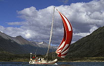 Skip Novak's yacht "Pelagic" in the Beagle Channel, Chile, South America.