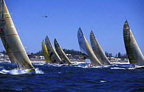 Fleet at the start of the Whitbread Round the World Race, 1997.