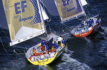 Racing on ^Team EF^ in the Whitbread Round the World Race, 1997.