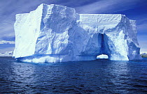Carved iceberg with natural arch, Antarctic Peninsula.