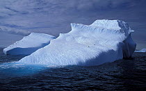 Penguins on icebergs, Antarctic Peninsula