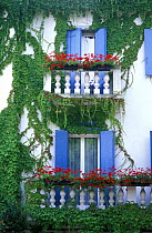 Luxury Hotel "Casa Bianca al Mare", Lido di Jesolo, Venice, Italy, with climbing plants around the windows.